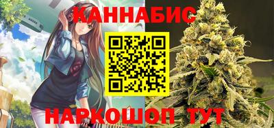 мдпв Гудермес