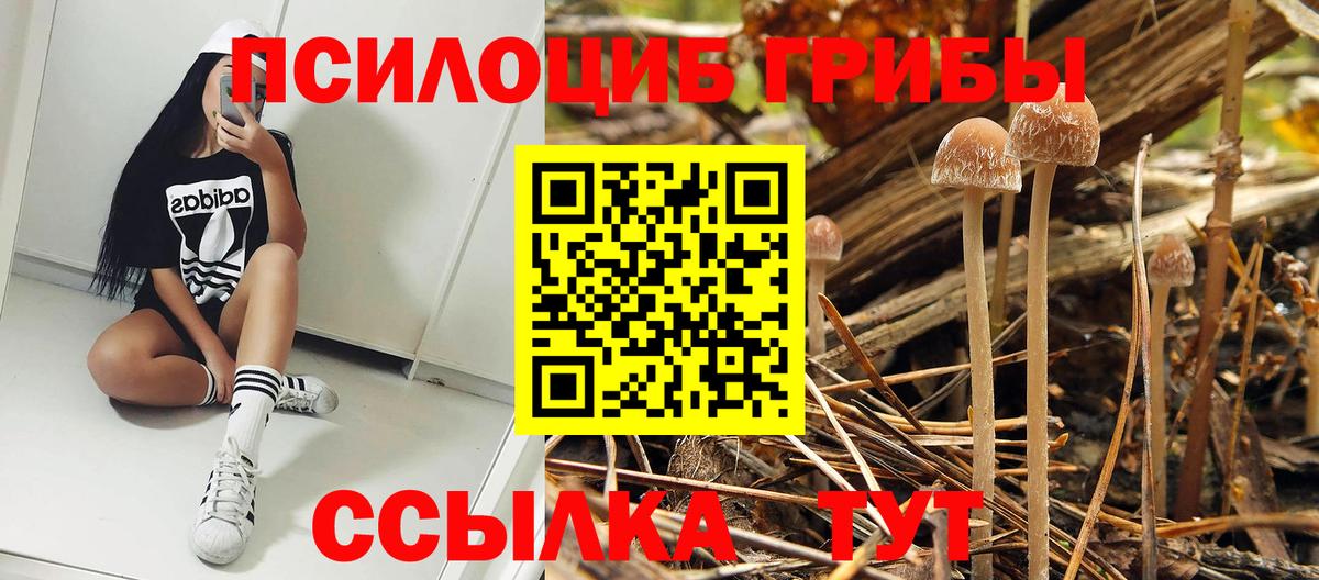 КОКАИН Верхняя Пышма