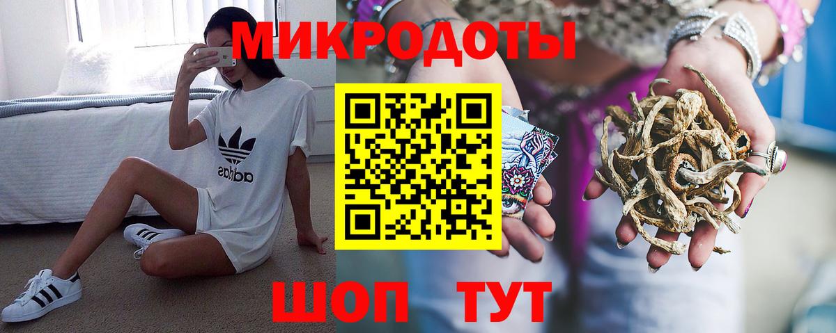 Псилоцибиновые грибы Cubensis Верхняя Пышма